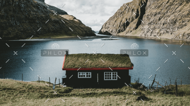 demo-attachment-1605-media